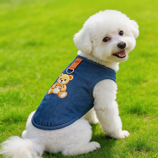 My Dog Has More Shirts Than I Do (And I’m Not Even Mad)