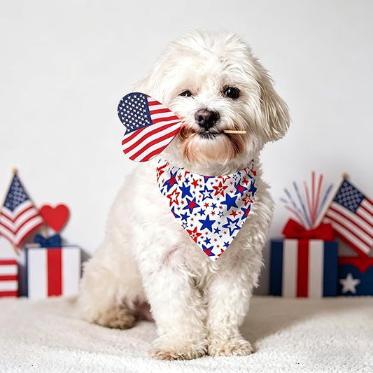 From Soggy to Snappy: How a Bandana Fixes a Wet Dog Day